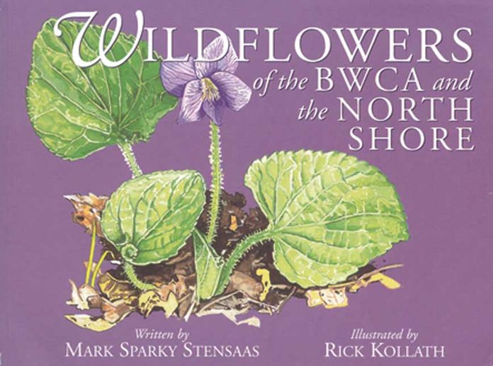 Wildflowers of the BWCA and the North Shore