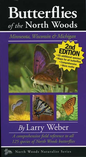 Butterflies of the North Woods