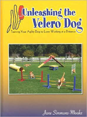 Unleashing the Velcro Dog: Training Your Agility Dog to Love Working at a Distance