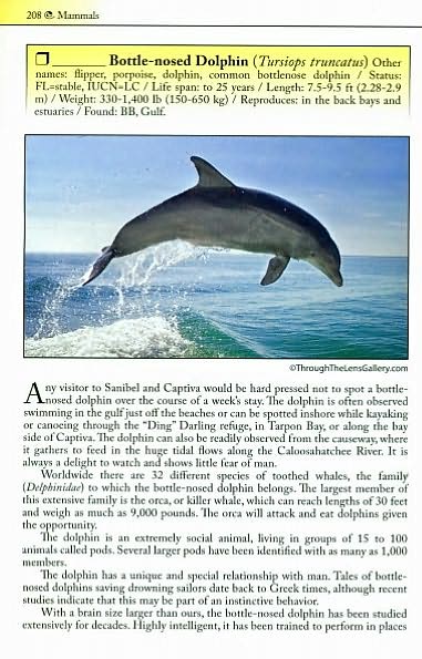 Living Sanibel: A Nature Guide to Sanibel and Captiva Islands