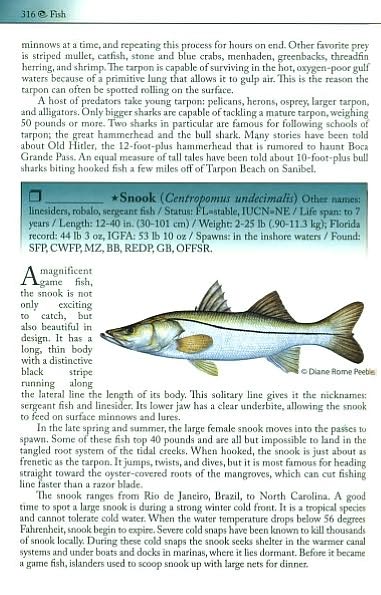 Living Sanibel: A Nature Guide to Sanibel and Captiva Islands