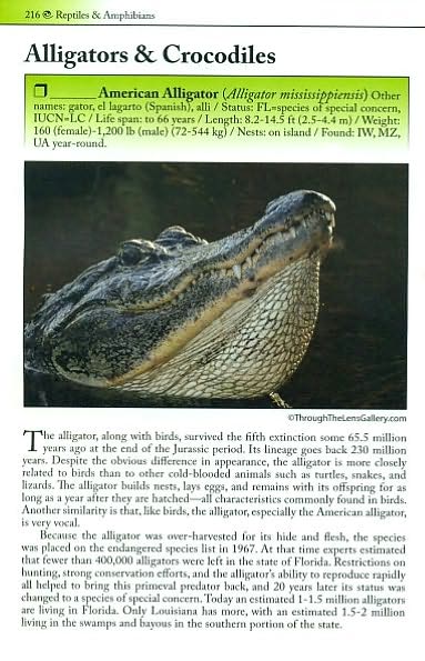 Living Sanibel: A Nature Guide to Sanibel and Captiva Islands