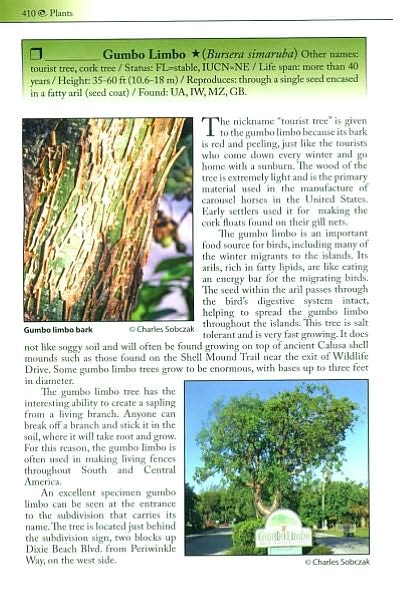 Living Sanibel: A Nature Guide to Sanibel and Captiva Islands