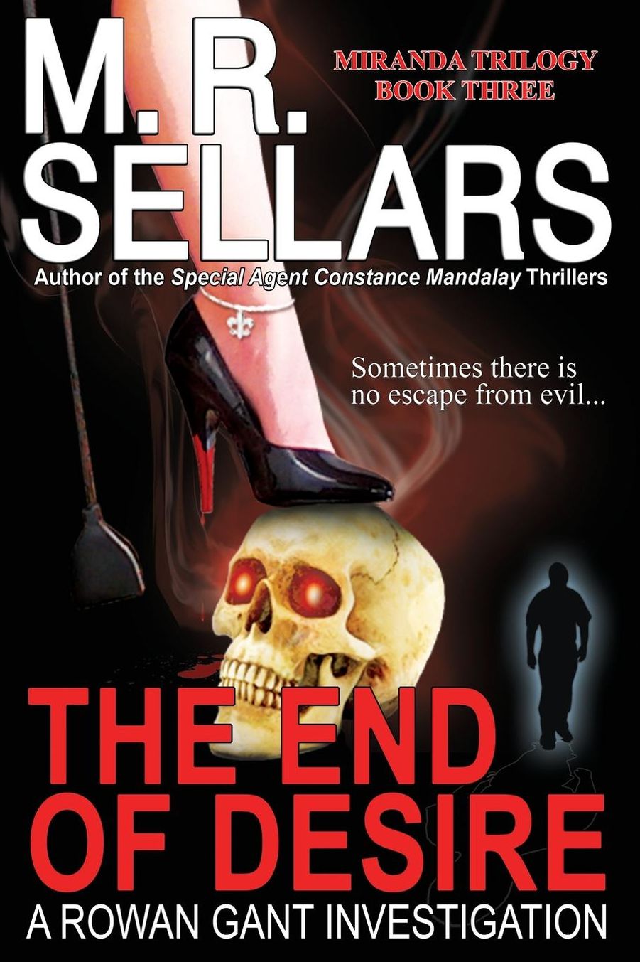 The End of Desire: A Rowan Gant Investigation