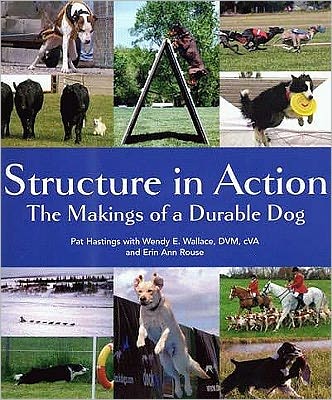 Structure in Action: The Makings of a Durable Dog