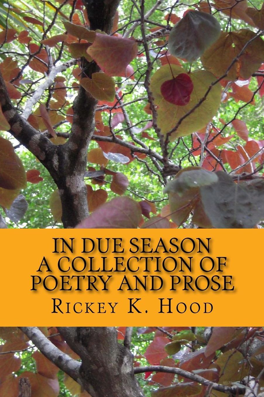 In Due Season: A collection of poetry and prose