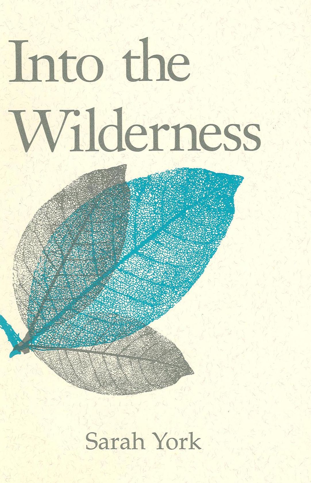 Into the Wilderness
