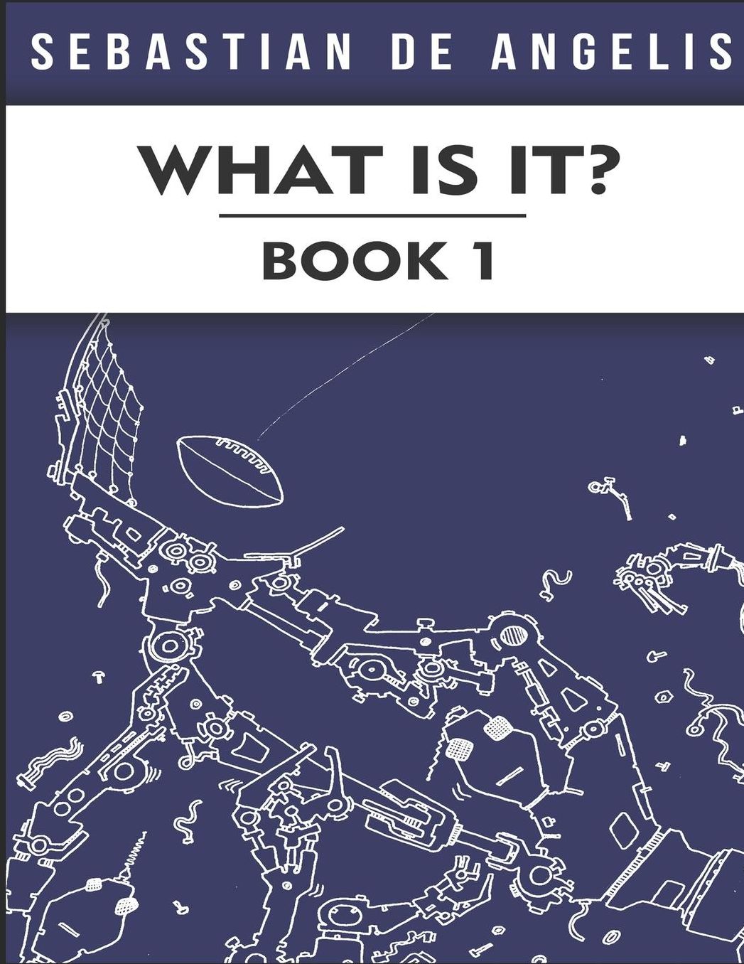 What Is It?