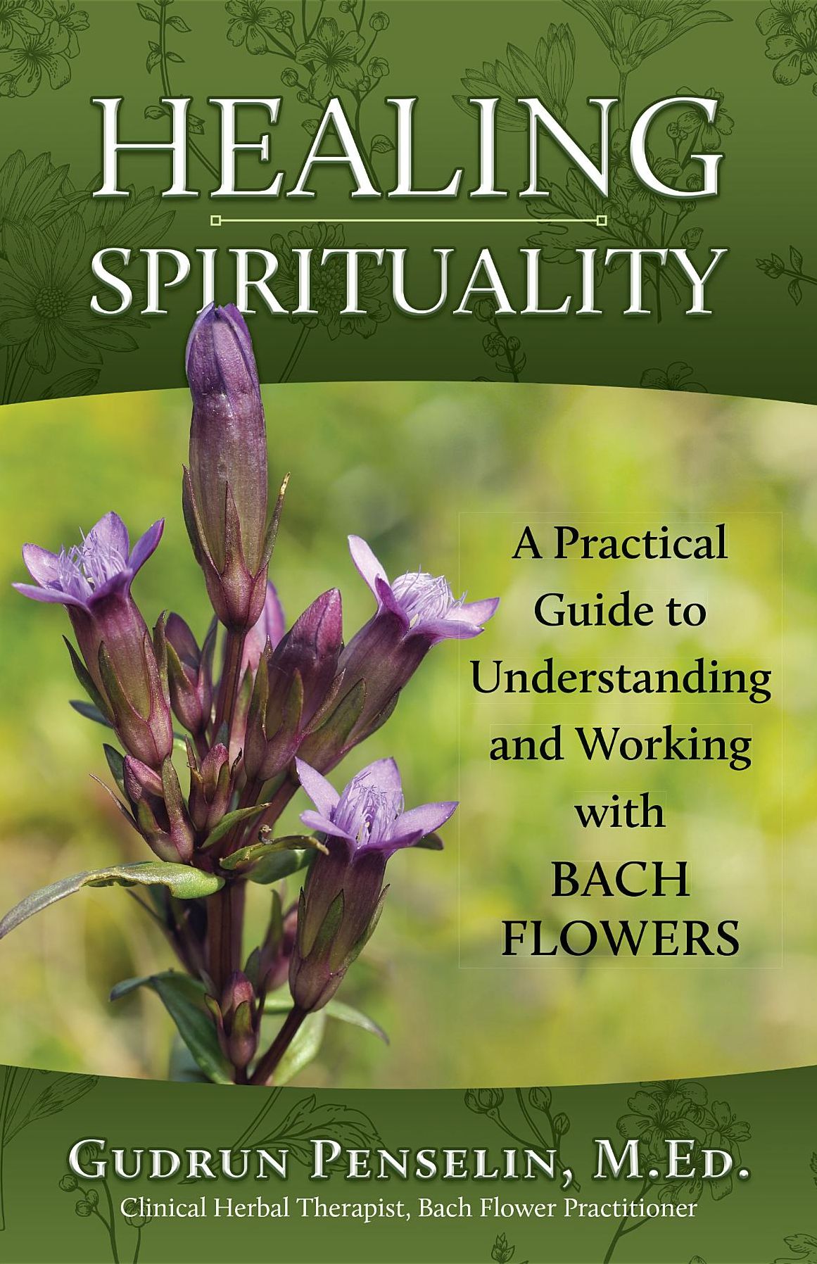Healing Spirituality: A practical Guide to Understanding and Working with Bach Flowers
