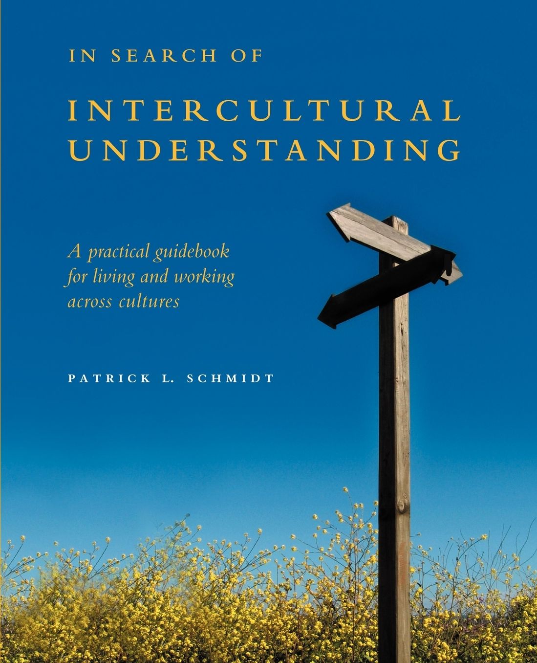 In Search of Intercultural Understanding