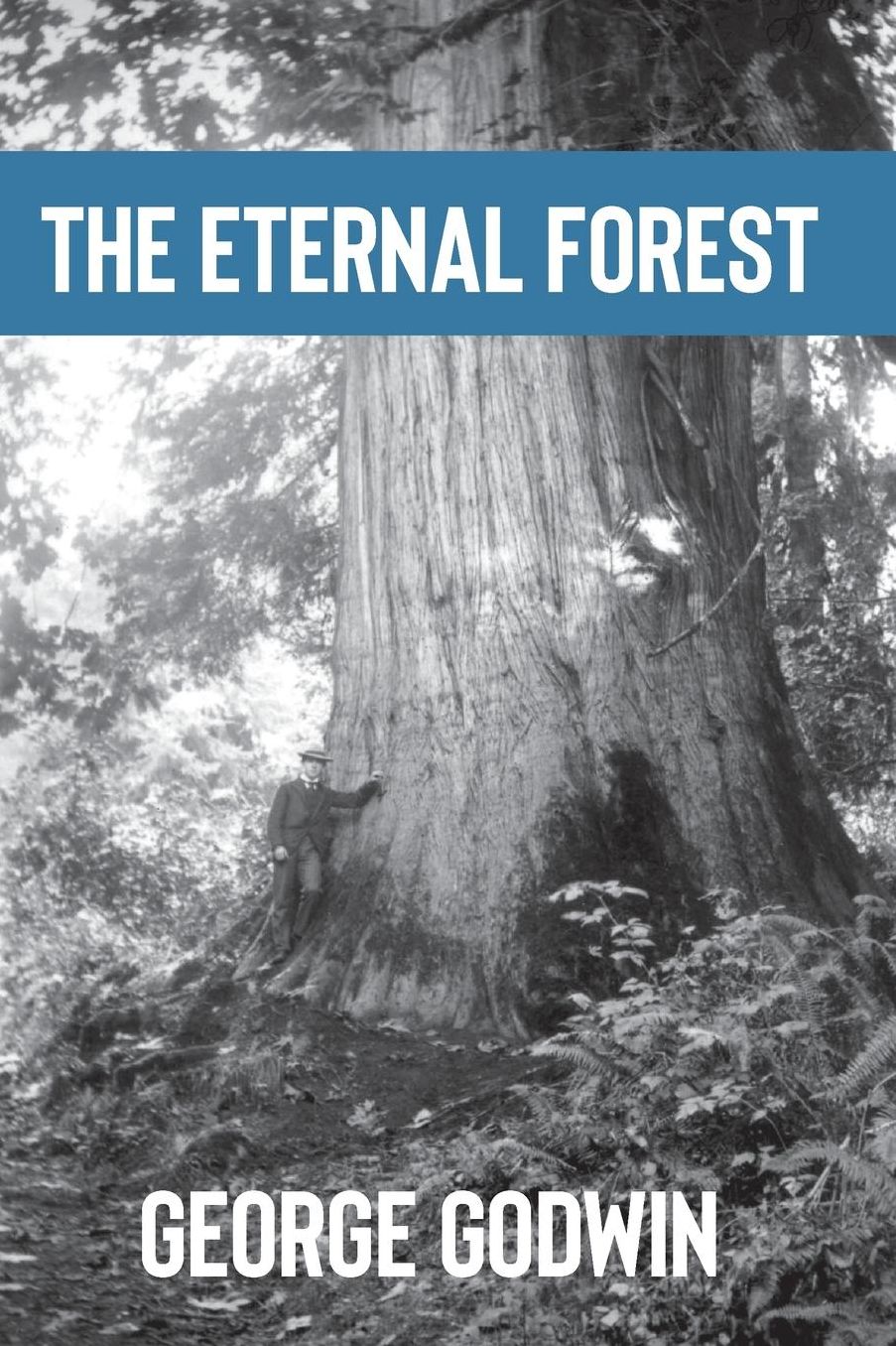 Eternal Forest