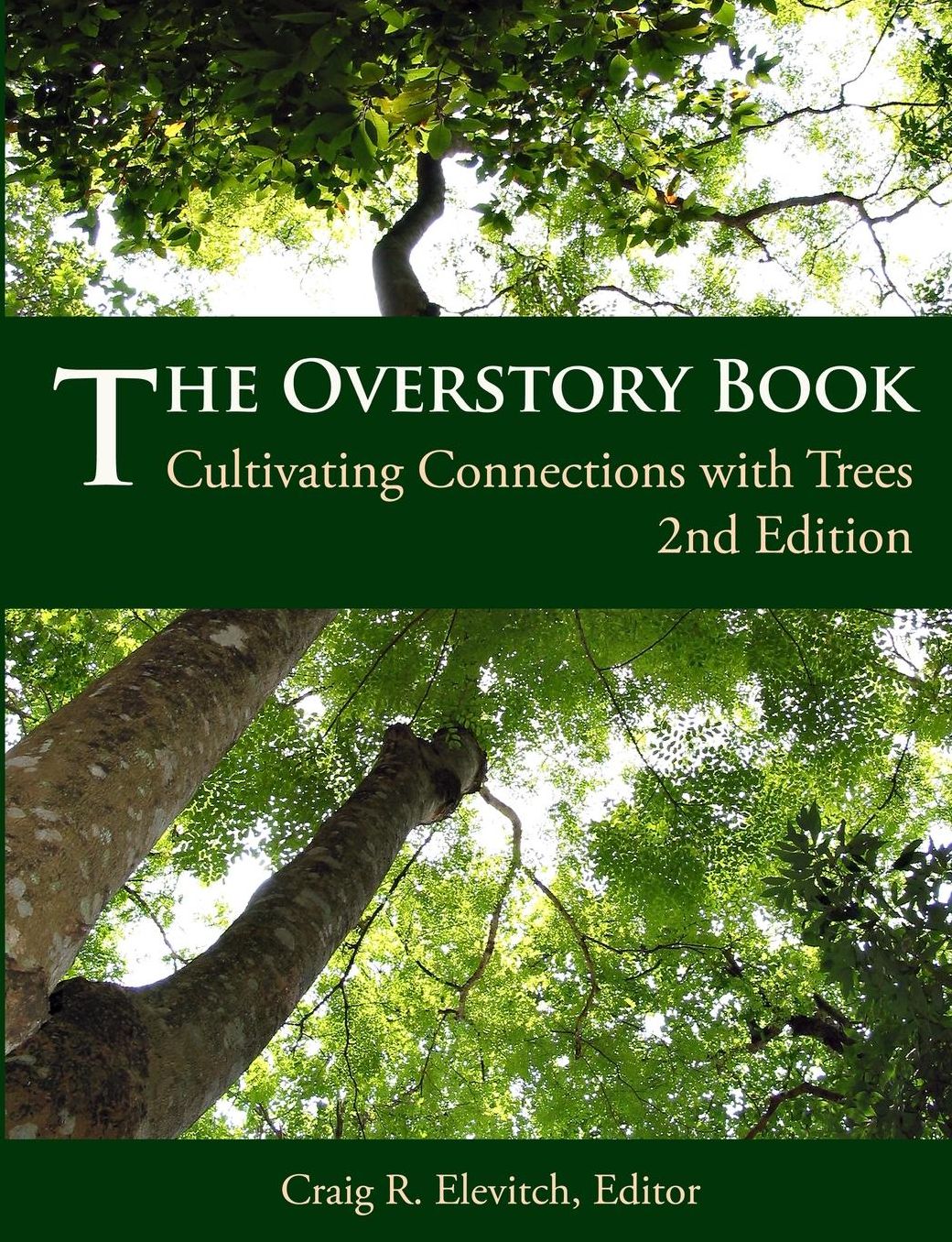 Overstory Book: Cultivating Connections with Trees