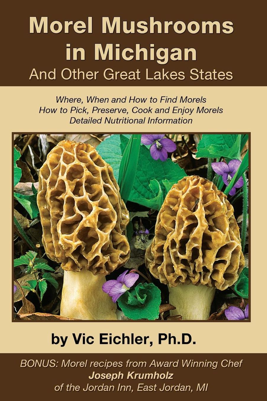 Morel Mushrooms in Michigan