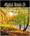 The Magical Mosaic Ashtabula County