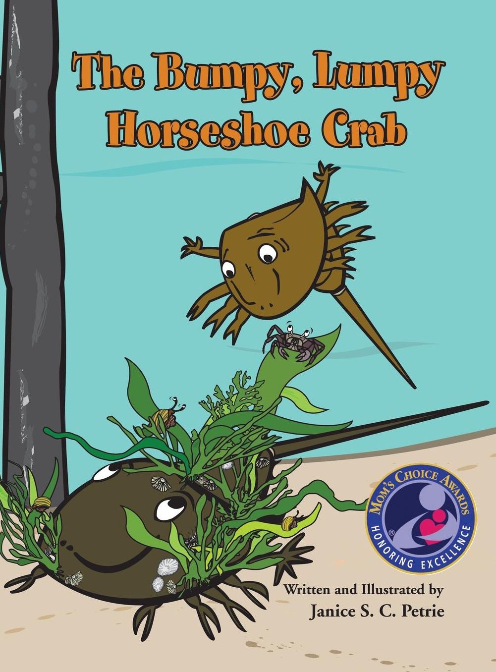The Bumpy, Lumpy Horseshoe Crab