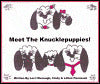 Meet The Knucklepuppies