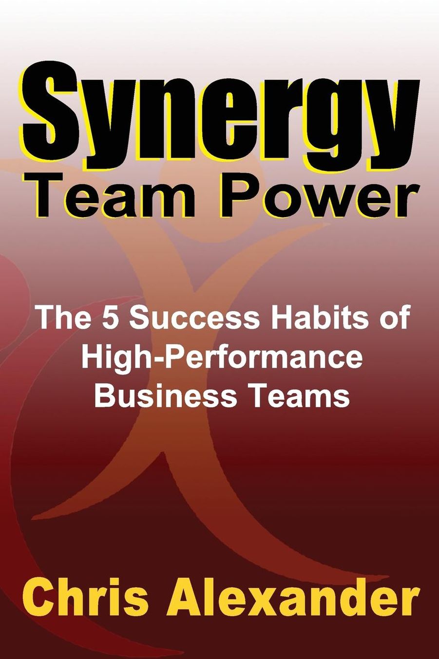 Synergy Team Power: The 5 Success Habits of High-Performance Business Teams