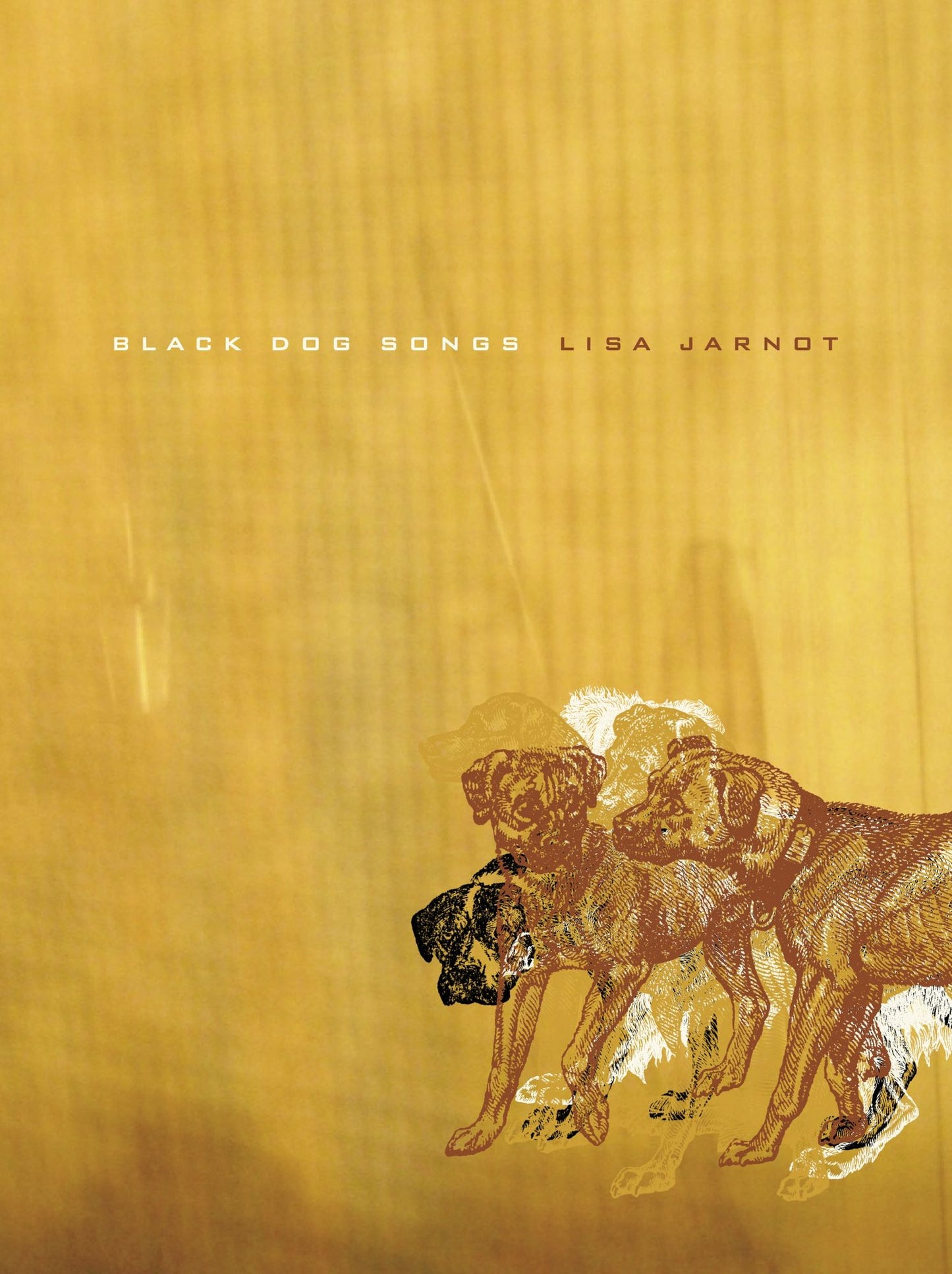 Black Dog Songs
