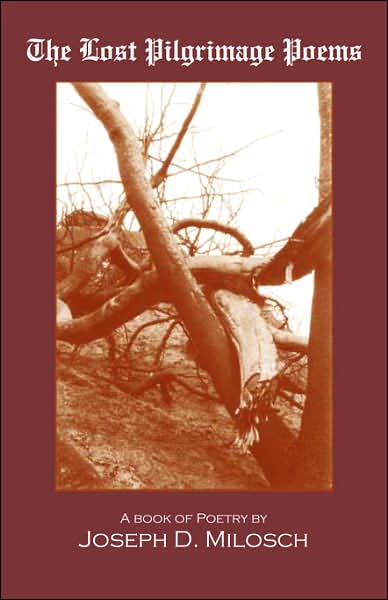 The Lost Pilgrimage Poems
