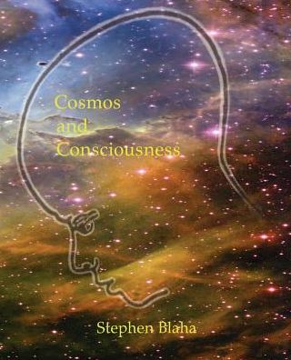 Cosmos And Consciousness