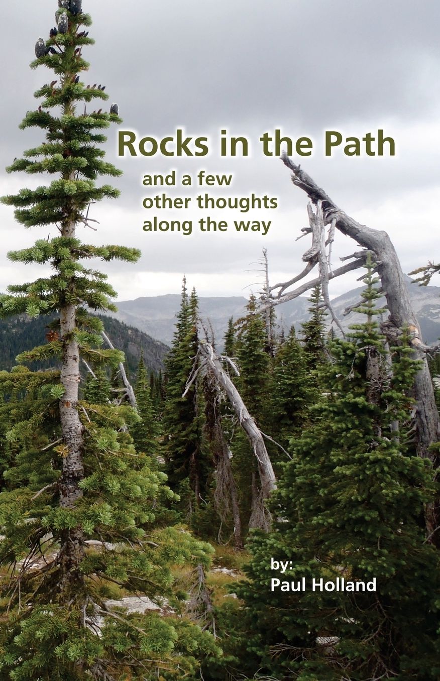 Rocks in the Path: And a few other thoughts along the Way