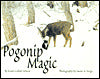 Pogonip Magic