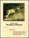 Skillfully Hunting: The Elusive Whitetail