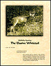 Skillfully Hunting: The Elusive Whitetail