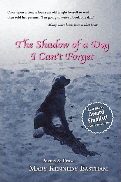The Shadow Of A Dog I Can'T Forget