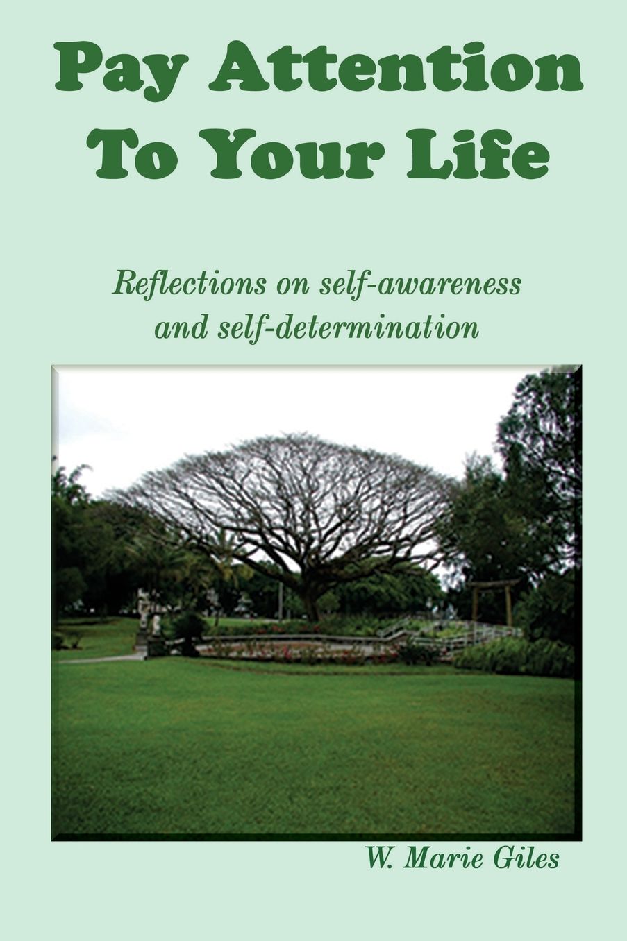 Pay Attention to Your Life: Reflections on Self-Awareness and Self-determination