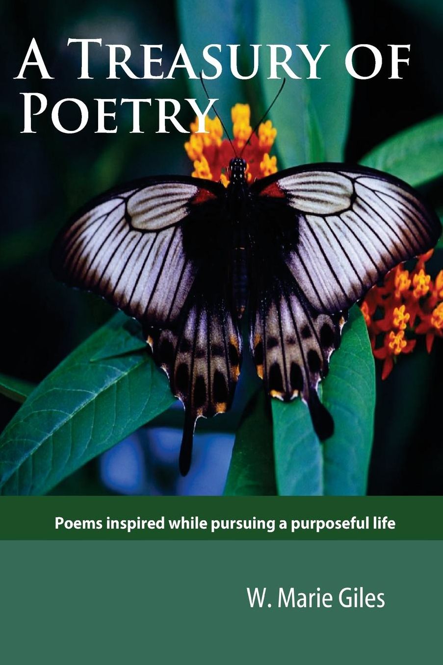 A Treasury of Poetry: Poems inspired while pursuing a purposeful life