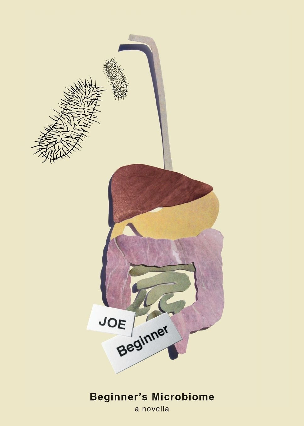 Beginner's Microbiome: A story about a man who changes what he eats