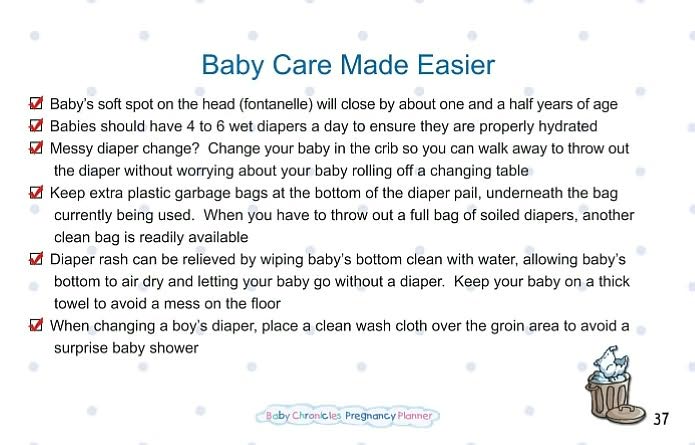 Baby Chronicles Pregnancy Planner: A Portable Planner for the Mom to Be