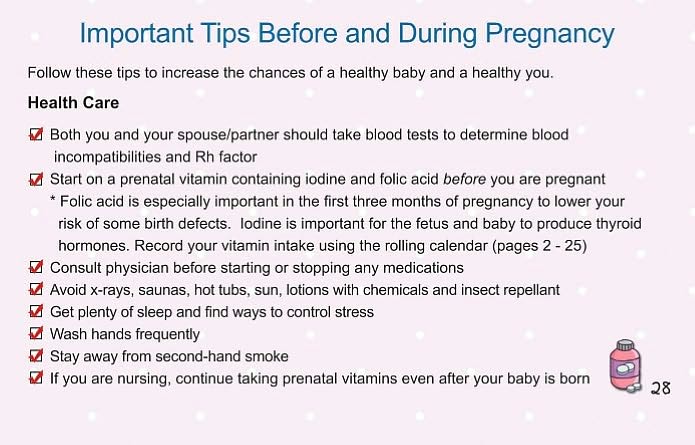 Baby Chronicles Pregnancy Planner: A Portable Planner for the Mom to Be