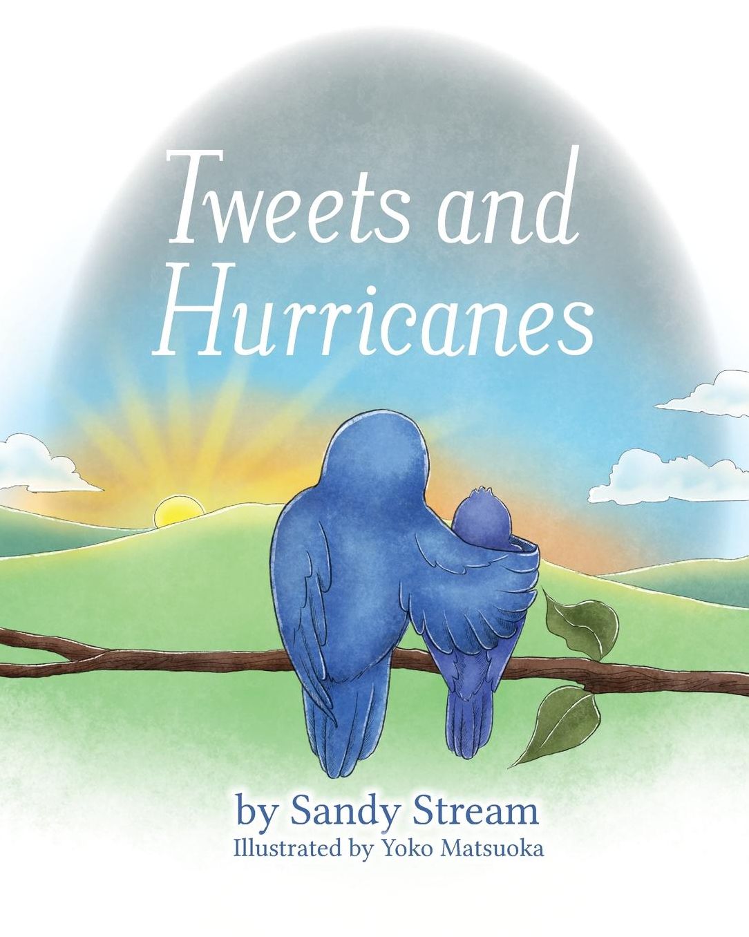 Tweets and Hurricanes
