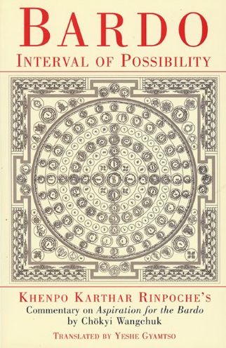Bardo: Interval of Possibility