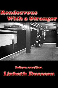 Rendezvous With A Stranger