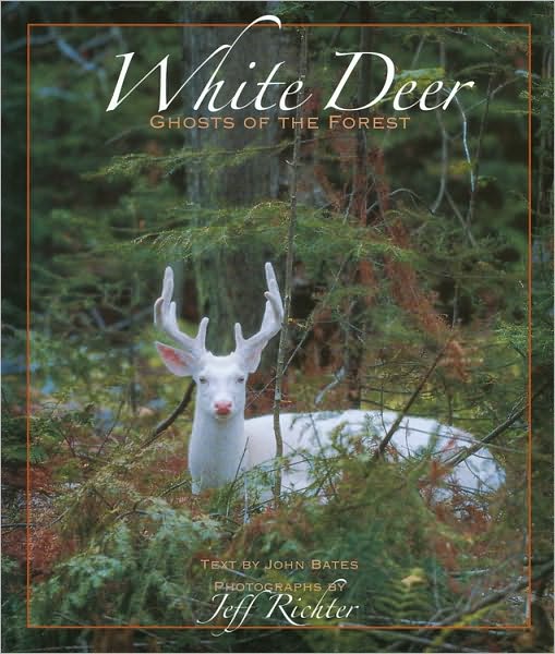 White Deer: Ghosts of the Forest