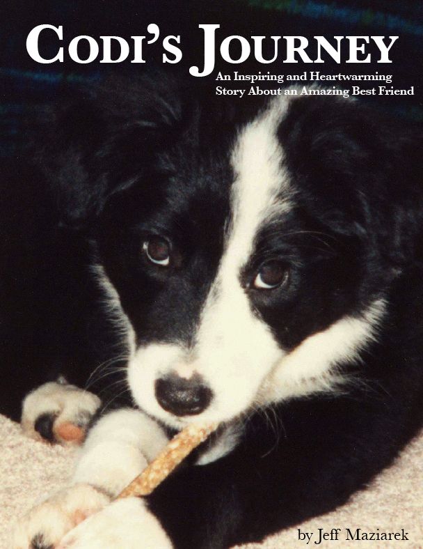 Codi's Journey