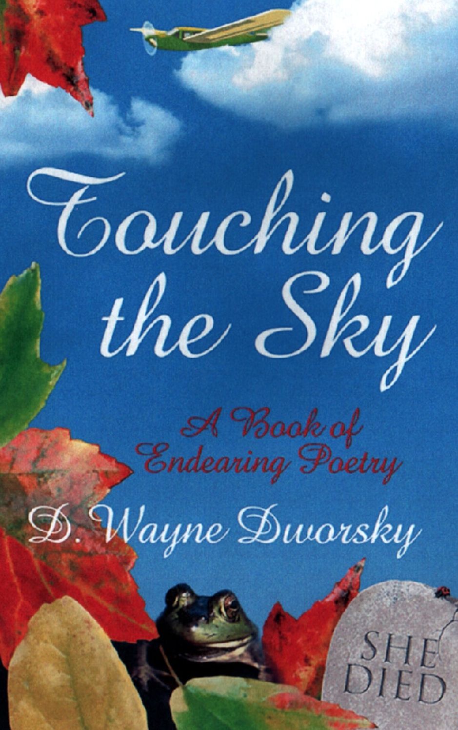 Touching the Sky: A Book of Endearing Poetry