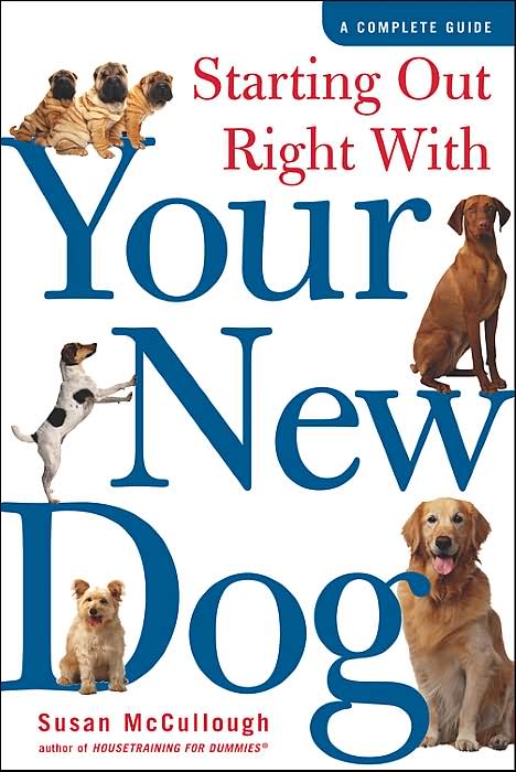 Starting Out Right with Your New Dog: A Complete Guide