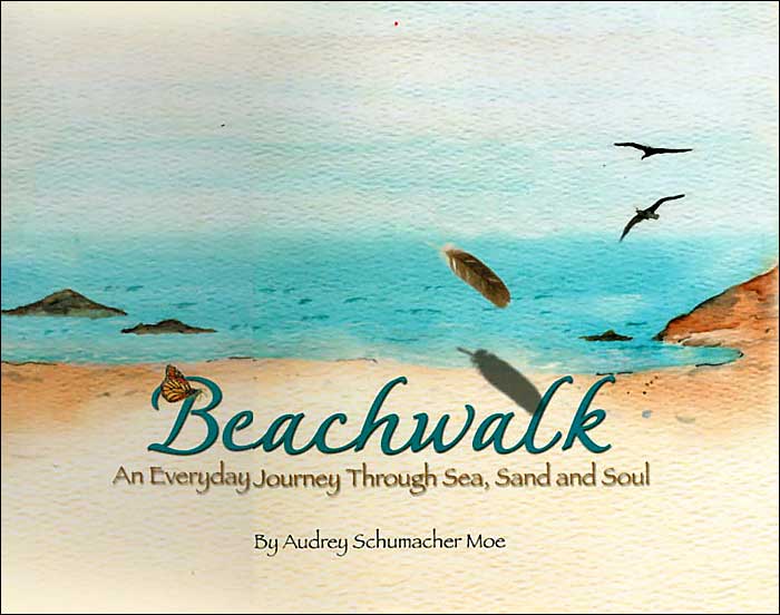 Beachwalk: An Everyday Journey Through Sea, Sand and Soul