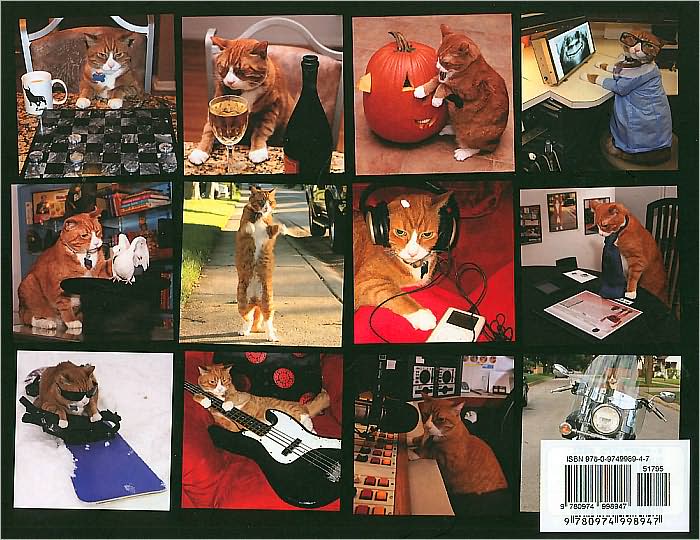 No Dogs Allowed: Buffy the Cat