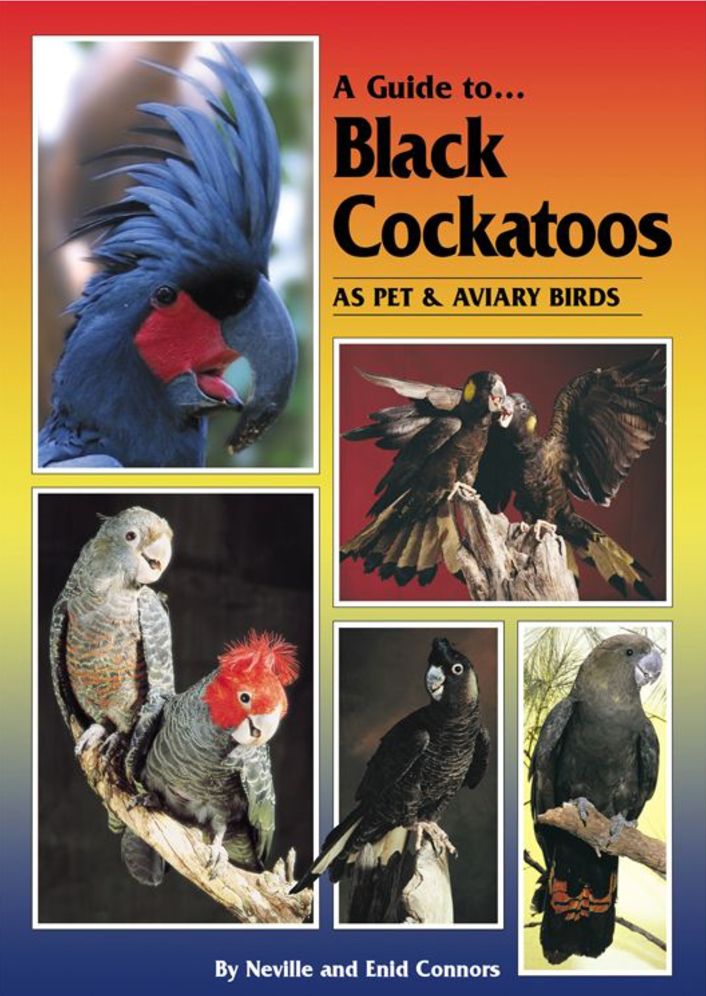 Guide to Black Cockatoos as Pet and Aviary Birds