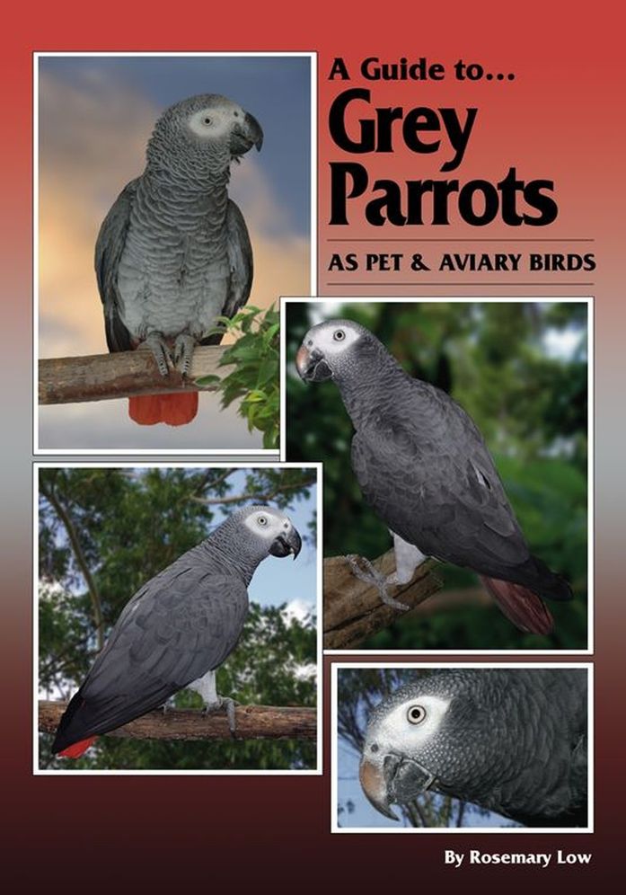 Guide to Grey Parrots as Pet and Aviary Birds