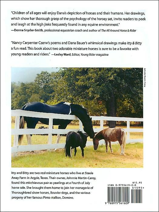 Itty and Bitty: Two Miniature Horses