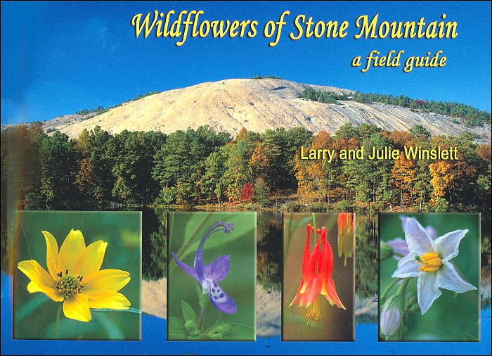 Wildflowers of Stone Mountain