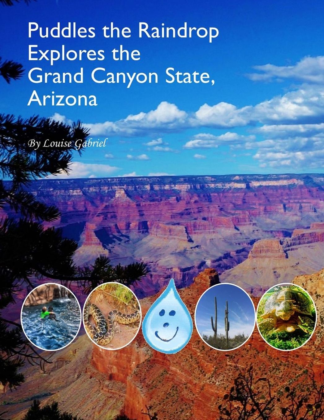 Puddles the Raindrop explores: The Grand Canyon State, Arizona