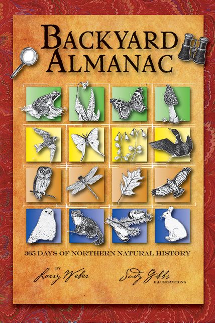 Backyard Almanac: 365 Days of Northern Natural History
