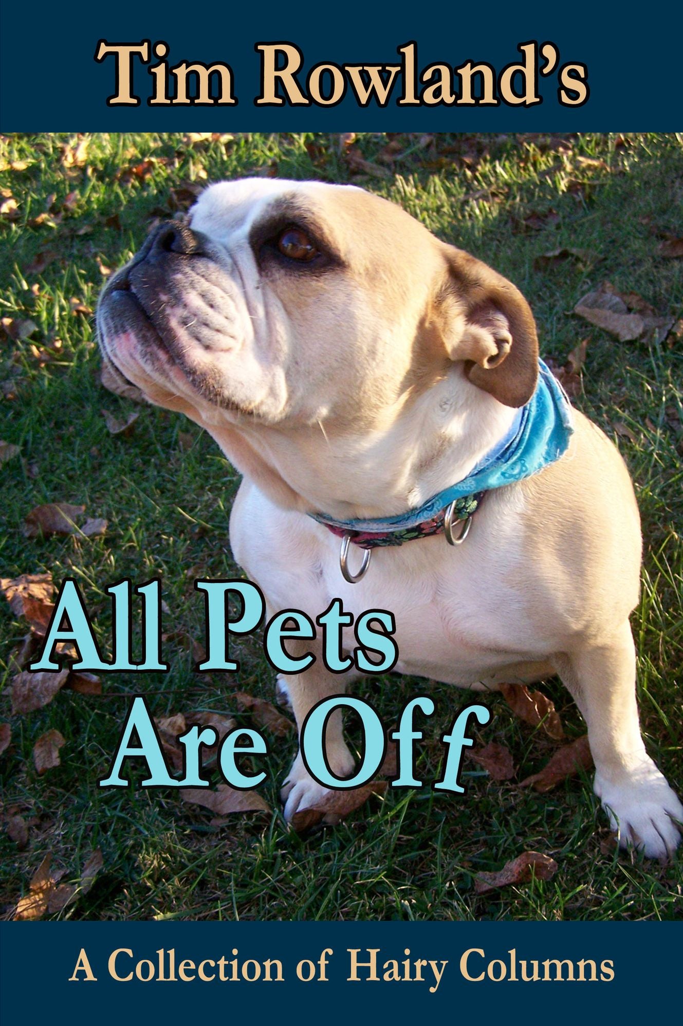 All Pets are Off: A Collection of Hairy Columns